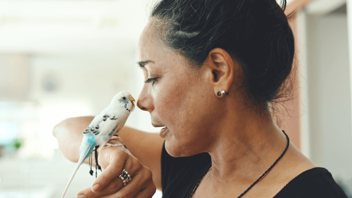 Low-maintenance pets for solo living - Birds